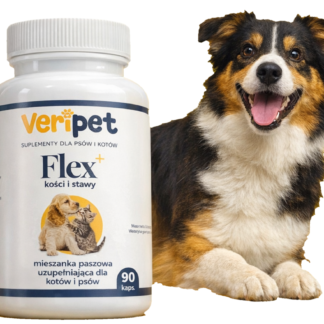 glukozamina na kości i stawy