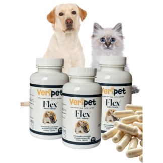 Veripet Flex+ pakiet x3 na kości i stawy