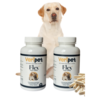 Flex+ na kości i stawy dla psów pakiet x2 180 kaps
