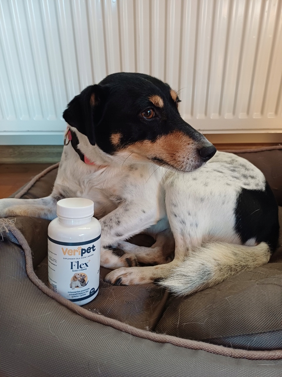 VeriPet Flex+ Product