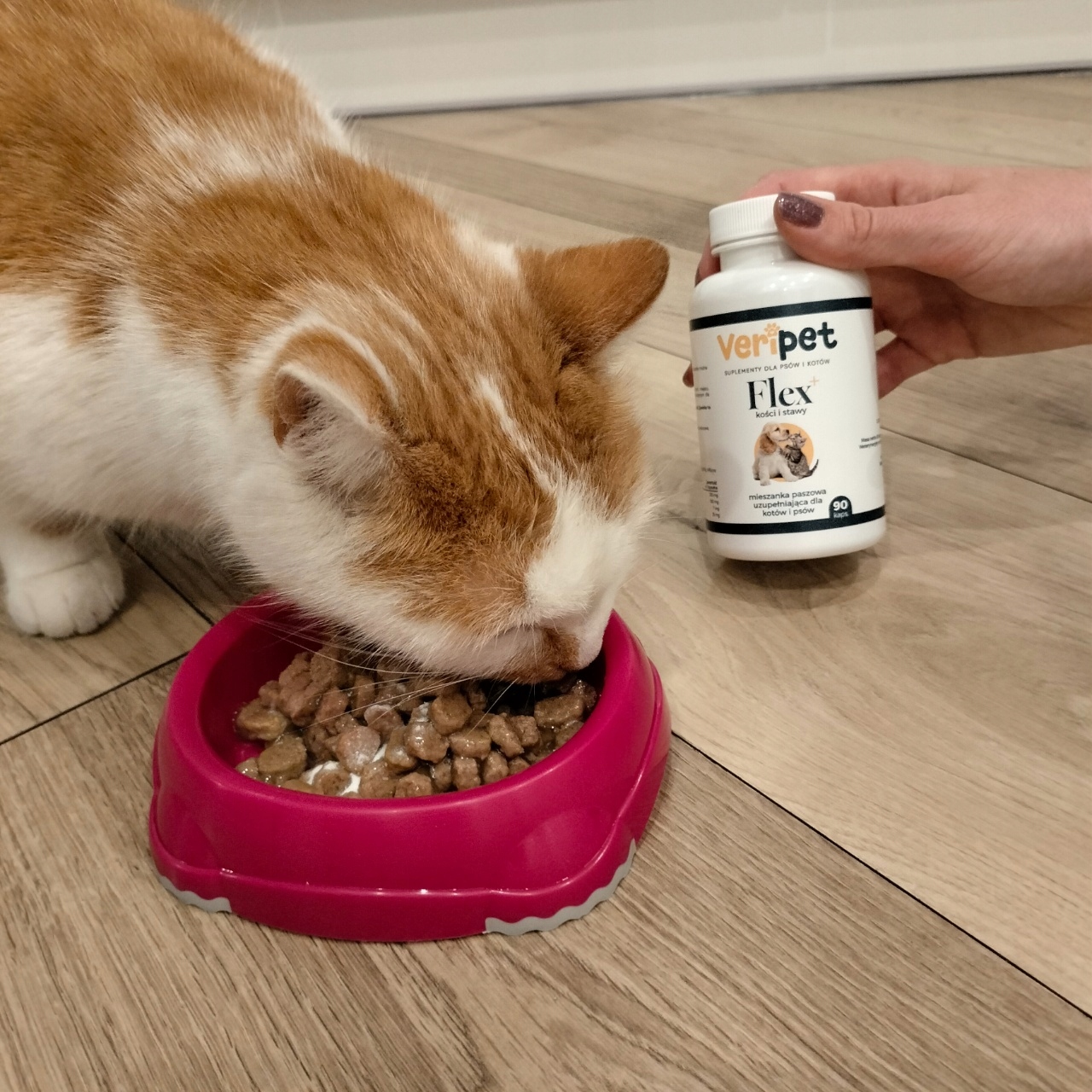 VeriPet Flex+ Product